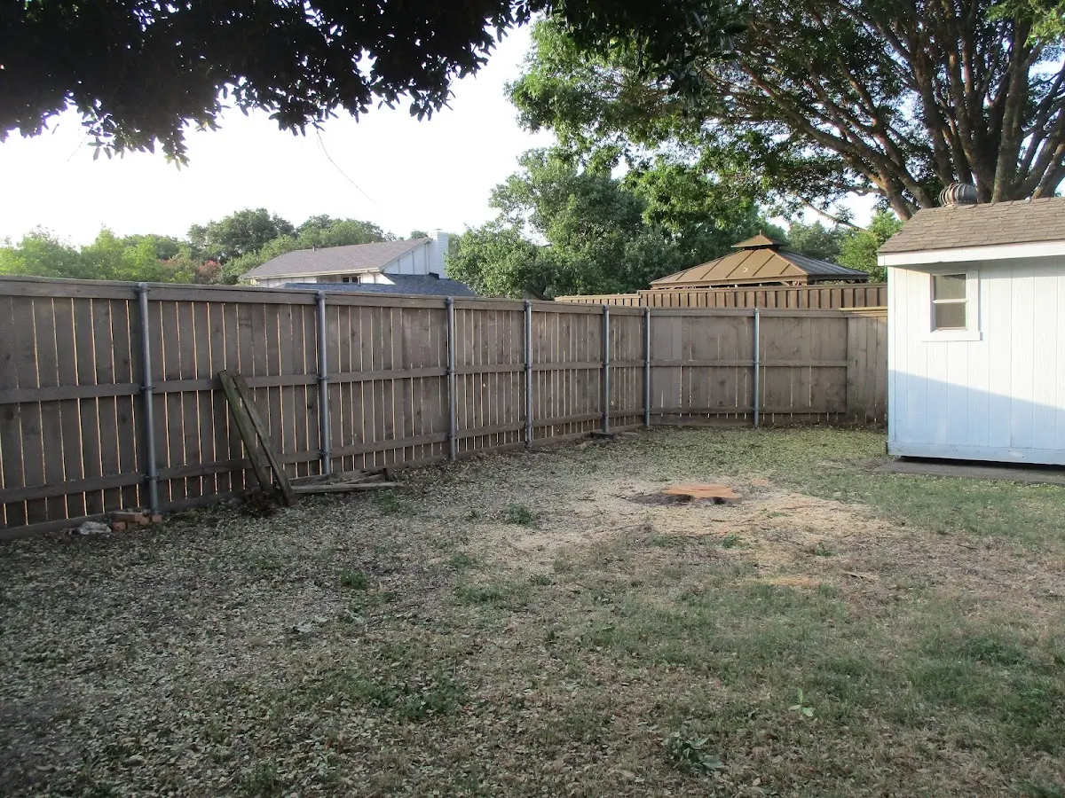 Cleared yard after professional tree removal in Trenton